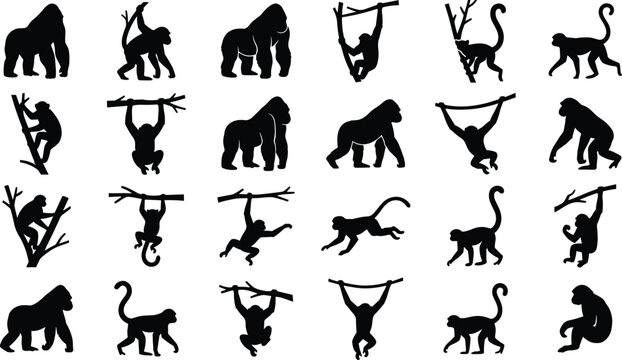 Monkey and gorilla silhouette icon set featuring chimpanzees baboons apes hanging from tree branches climbing walking wildlife fauna and jungle animals vector illustration