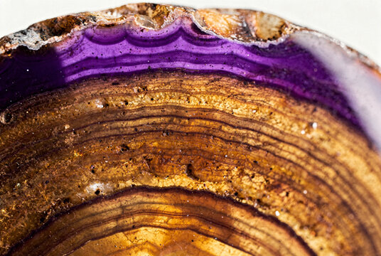 Macro Close-up of Purple and Brown Agate Slice