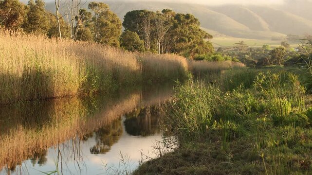 sunrise on the Klein River with fog enshrouding the Klein Mountains, Stanford, South Africa