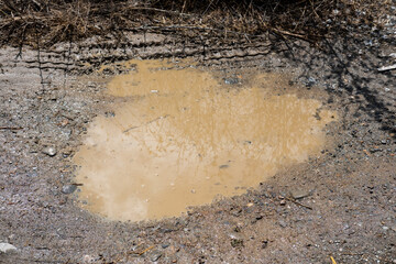 Fototapeta premium Mud puddle on a dirt road reflecting dry branches and sunny sky after a rain shower in nature