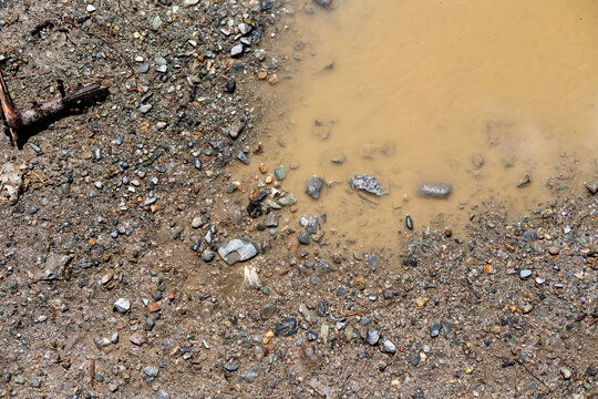 Muddy puddle on gravel road showing wet ground, dirt, and textured earth surface after rain