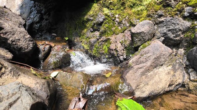 Close-Up of Clear Spring Water Cascading Over Mossy Rocks in a Forest Stream