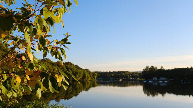 An autumn park with shrubs and trees is reflected in the calm landscape by the lake. Free space for copying.
