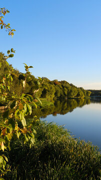 An autumn park with shrubs and trees is reflected in the calm landscape by the lake. Free space for copying.