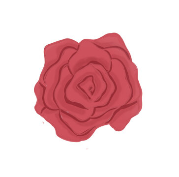 Hand Drawn Red Rose Watercolor Illustration Asset