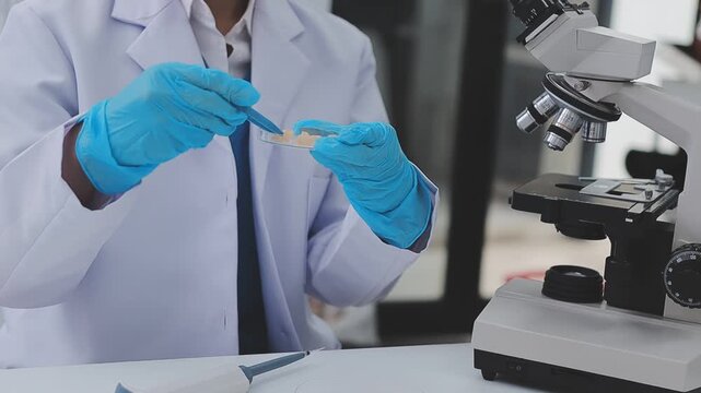 Team Asian scientists in a lab conducting food research using a microscope and lab equipment, showcasing innovation in food science and biotechnology