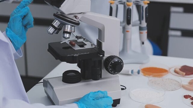 Team Asian scientists in a lab conducting food research using a microscope and lab equipment, showcasing innovation in food science and biotechnology