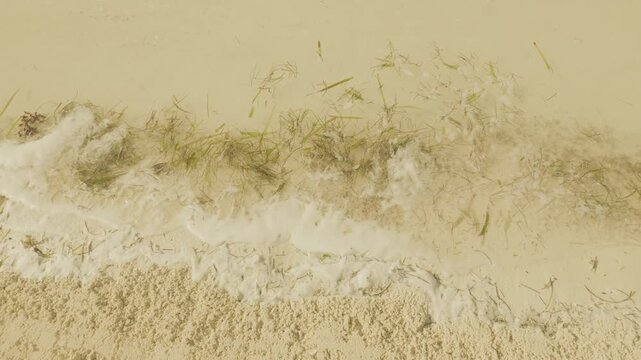 Top Down View of Sea Foam and Seagrass Washing onto Sandy Shore