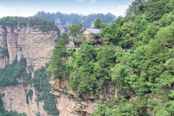 Fototapeta premium Quartz-sandstone pillars with resilient, ancient trees and visitors at platform at Yuanjiajie Scenic Area in Zhangjiajie National Forest Park, Hunan Province of China