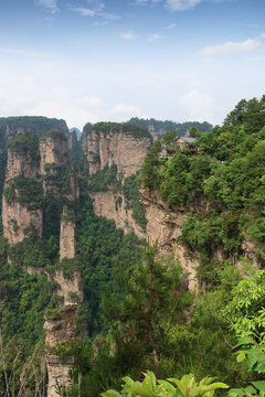 Quartz-sandstone pillars with resilient, ancient trees and visitors at platform at Yuanjiajie Scenic Area in Zhangjiajie National Forest Park, Hunan Province of China
