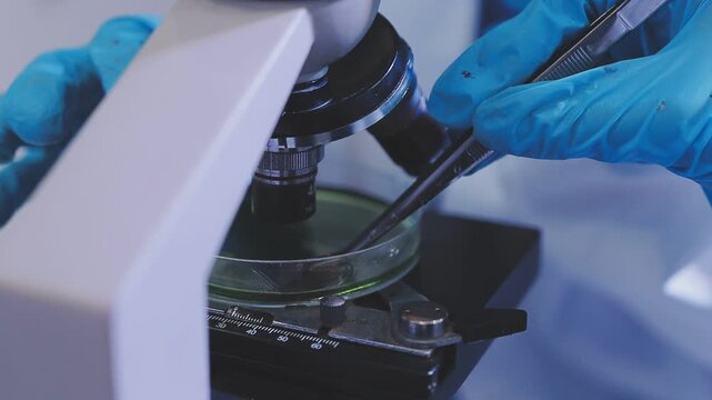 Team Asian scientists in a lab conducting food research using a microscope and lab equipment, showcasing innovation in food science and biotechnology