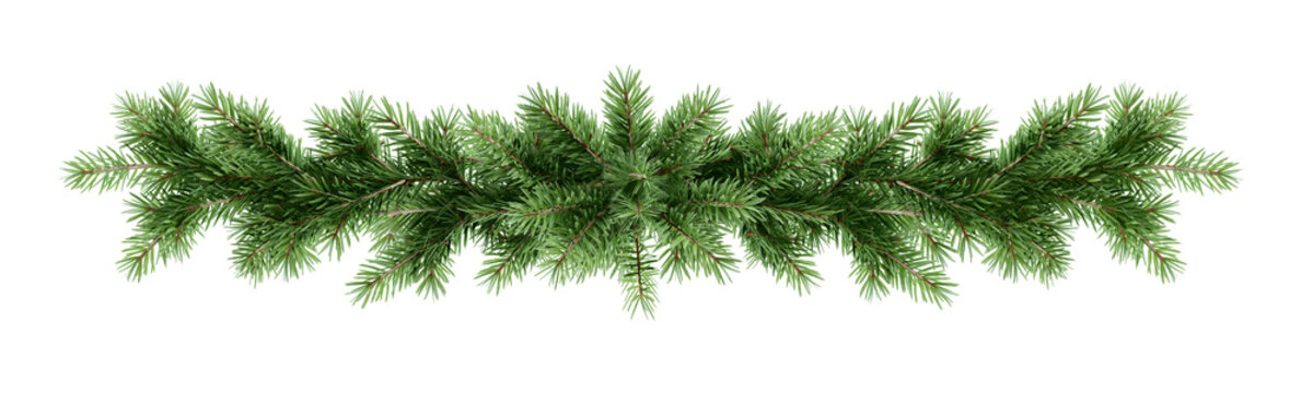 Green christmas pine branch garland border isolated on transparent background