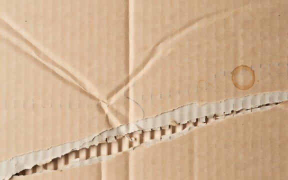 Close Up View Of Torn Cardboard Box With Visible Damage