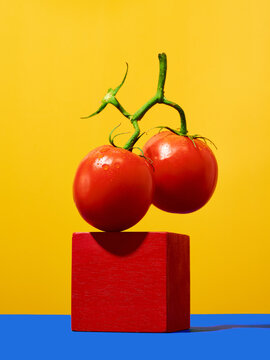 Bright red tomatoes in primary color scene defying gravity