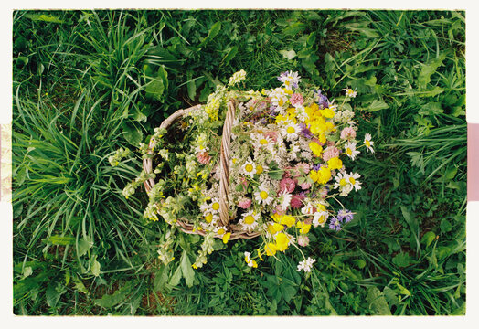 A wicker basket overflowing with freshly picked wildflowers