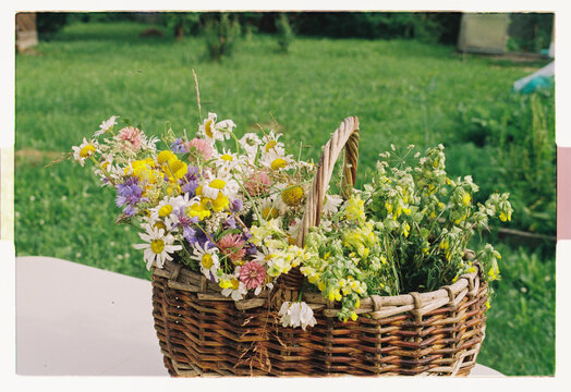 A wicker basket overflowing with freshly picked wildflowers