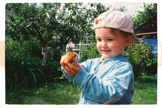 Smiling toddler gently holding a baby chick in the garden