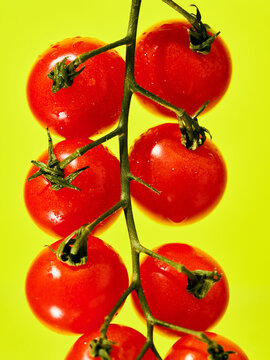 String of vivid cherry tomatoes against a neon yellow background
