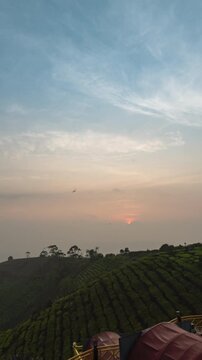 Vertical video - Timelapse of a foggy sunrise on a tea plantation hill