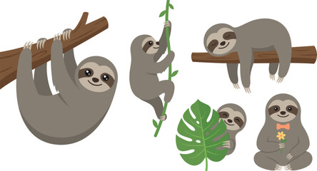 Cute cartoon sloth vector collection featuring slow wildlife characters climbing hanging and sleeping on branches isolated on white background for children illustration design © MD
