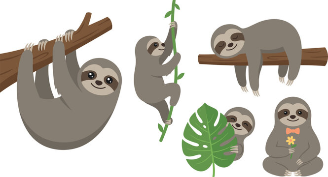 Cute cartoon sloth vector collection featuring slow wildlife characters climbing hanging and sleeping on branches isolated on white background for children illustration design