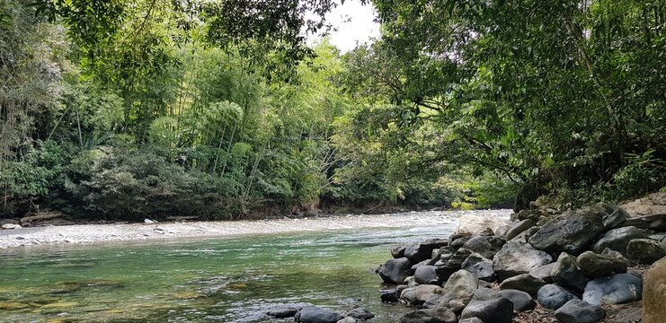 Paisajes inigualables: mares y bosques 