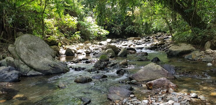 Paisajes inigualables: mares y bosques 