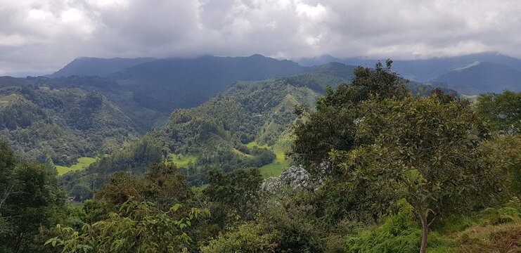 Paisajes inigualables: mares y bosques 