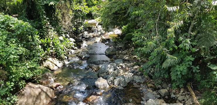 Paisajes inigualables: mares y bosques 