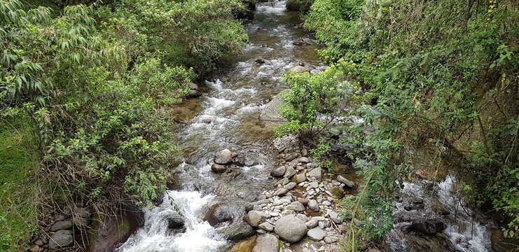 Paisajes inigualables: mares y bosques 