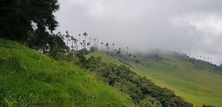 Paisajes inigualables: mares y bosques 