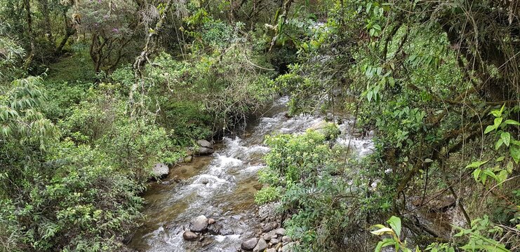 Paisajes inigualables: mares y bosques 