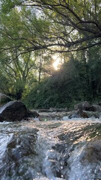 water flowing into the river relaxing and nature sounds	