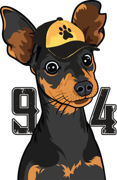 Doberman or Pinscher Dog Cartoon Character Mascot for T-Shirt Print
