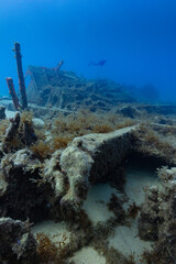 diver in the distance shipwreck © Keri