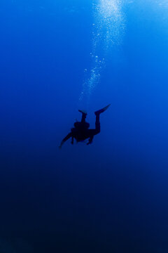 Great blue scuba diver