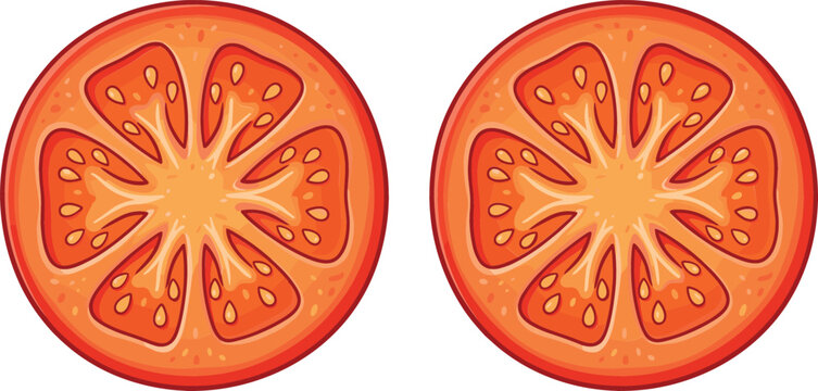 Two Fresh Red Tomato Slices with Visible Seeds for Healthy Diet Recipes, Salad Menu Ingredients, Vegan Fast Food Toppings, and Organic Agriculture Vector Design