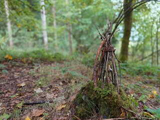 pine cones in the forestA close-up shot of a tiny, handcrafted miniature teepee made of thin wooden sticks © Roland