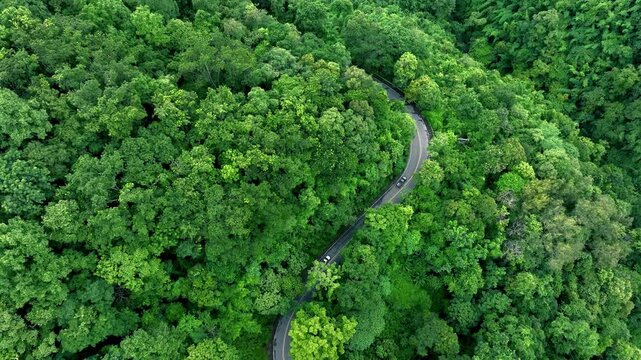 Road in the middle of the forest , road curve construction up to mountain, Aerial view of Rainforest ecosystem and healthy environment concept