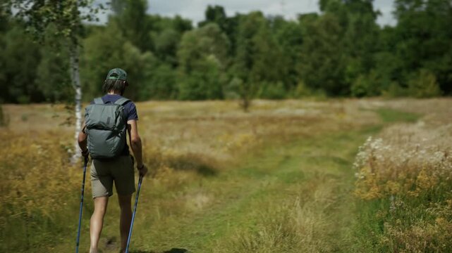 Hiker With Backpack And Trekking Poles Walking Along Field Trail. Nordic Walking. Nature Exploration 