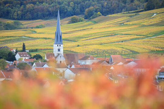Champagne, village de Chamery	