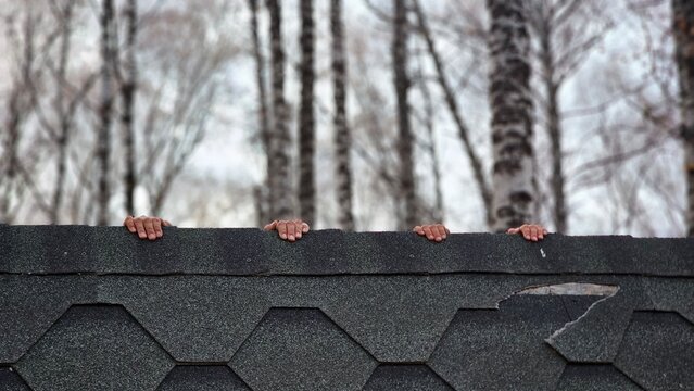 Dark hexagonal roof tiles with bare trees in the background. Copy space for design.