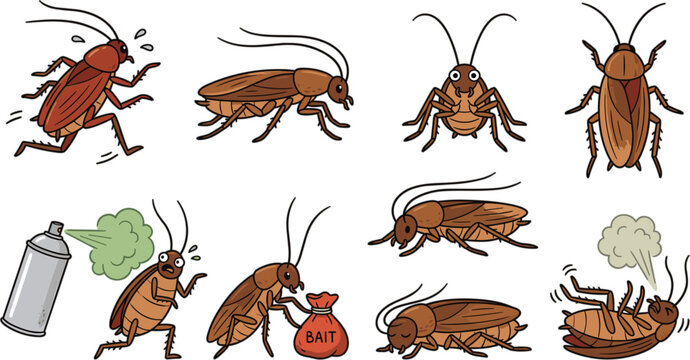 Cockroach Extermination Cartoon Character Vector Set with Cute Cockroaches Running Eating Poison Bait and Dying from Pest Control Spray