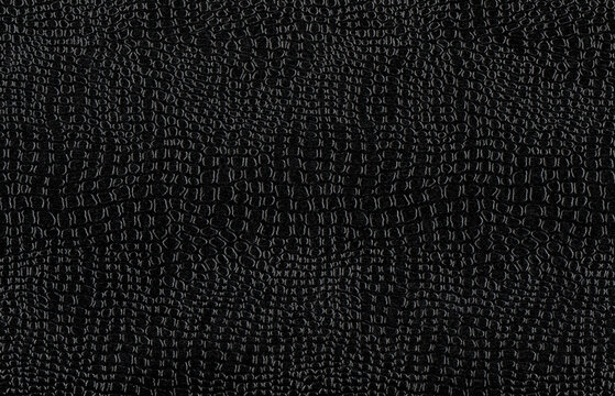 Crocodile pattern on black leather with large embossed scales and narrow reflective ridges, an animal skin texture with dark grain for decorative backgrounds and collage