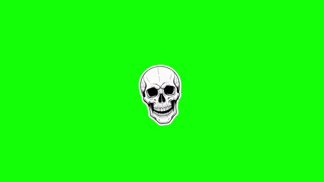 Halloween Skull Green Screen Floating 2D Line Art Head Spooky Video Overlay