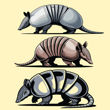 Armadillo vector set with stylized wildlife animal illustrations