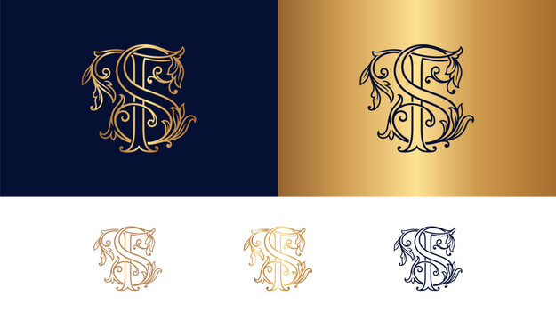Antique monogram letters ts ornate gold floral alphabet emblem for vintage branding.