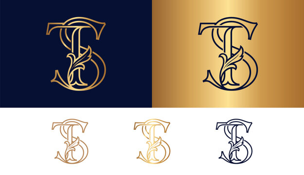 Elegant monogram letters ts vintage gold floral alphabet emblem for luxury branding.