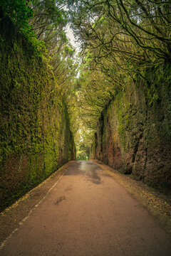 Camino viejo al pico del ingl&eacute;s, Nationalpark