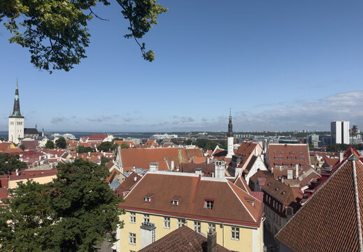 Panoramic view across the red-tiled rooftops of Tallinn Old Town, Estonia, with St. Olaf&rsquo;s Church and the Town Hall tower rising above the historic cityscape and the Baltic Sea visible beyond.